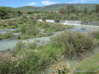 rrente Saracena-26-04-2014 17-07-41